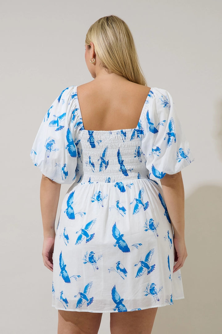 Robe Jardin d’Azur